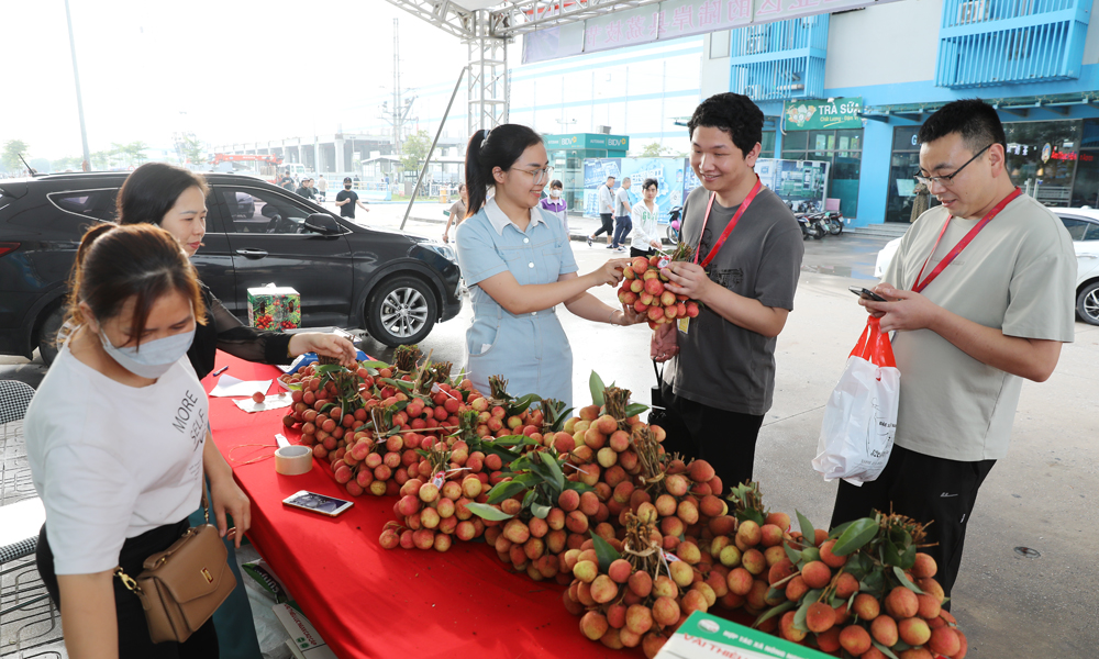 Bắc Giang: Nhiều điểm bán vải thiều phục vụ công nhân tại các khu công nghiệp
