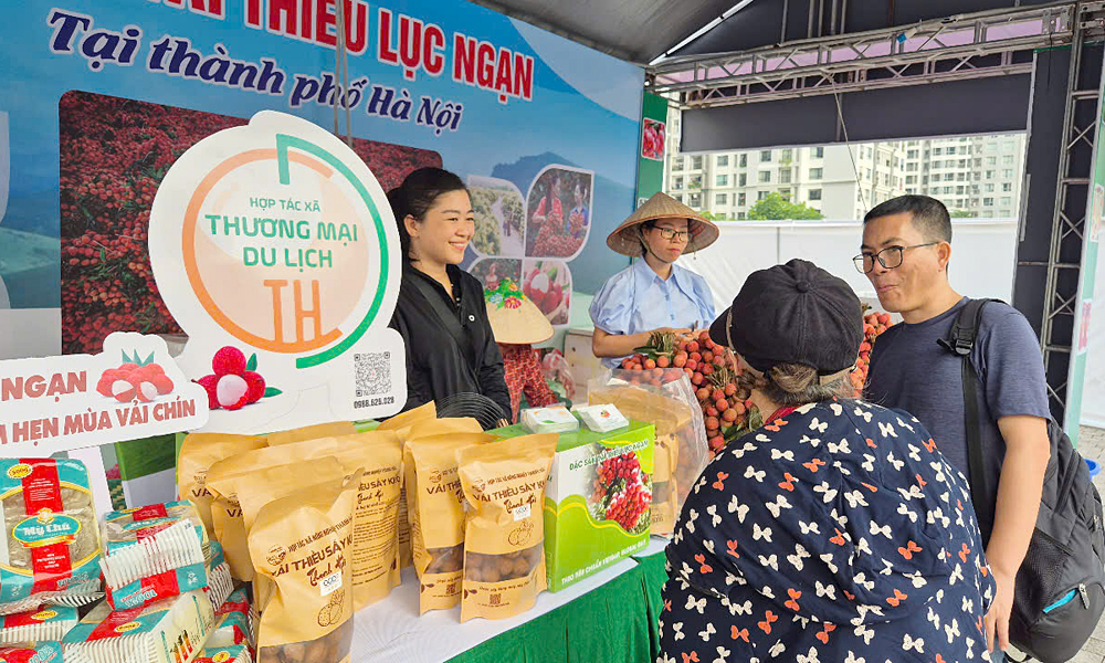  Lan tỏa “Tuần lễ vải thiều Lục Ngạn tại Hà Nội”