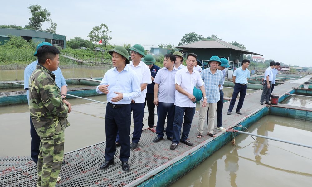  Phó Chủ tịch Thường trực UBND tỉnh Mai Sơn kiểm tra công tác ứng phó với bão số 3