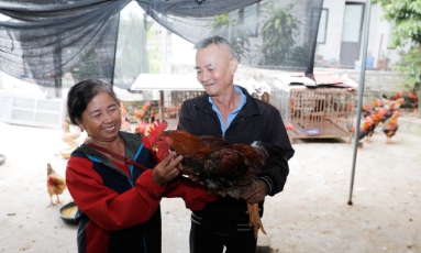  Nhã Nam giảm nghèo nhờ vốn vay ưu đãi