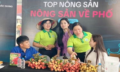  Bắc Ninh hưởng ứng tuần lễ Thương mại điện tử quốc gia và Ngày mua sắm trực tuyến Việt Nam - Online Friday 2025