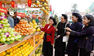 Lễ hội trái cây Bắc Ninh 2025: Hút khách muôn phương