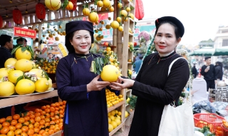 Lễ hội trái cây Bắc Ninh 2025: Đa dạng hình thức quảng bá, hút khách tham quan