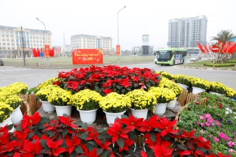  Phố Xuân rực rỡ, chợ hoa tấp nập