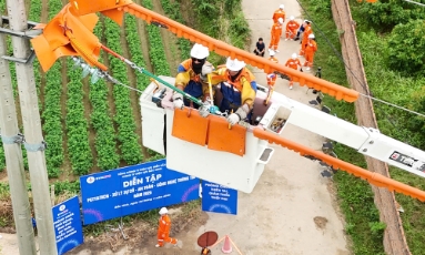  Công ty Điện lực Bắc Ninh diễn tập phòng, chống thiên tai, xử lý sự cố 