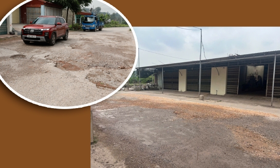 Đường vào vùng vải thiều Phúc Hòa đã được tu sửa