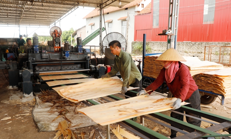  Bắc Ninh: Giá gỗ rừng trồng tăng, người trồng rừng thu lãi cao