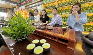 Ngát hương chè Hảo Đạt