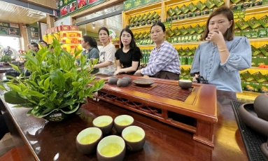  Ngát hương chè Hảo Đạt