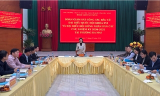 Giám sát công tác chuẩn bị bầu cử tại các phường: Đa Mai, Cảnh Thuỵ