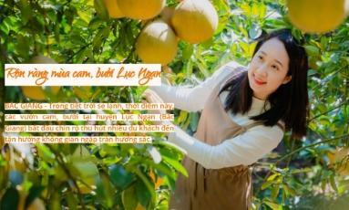  Sản vật vùng cao