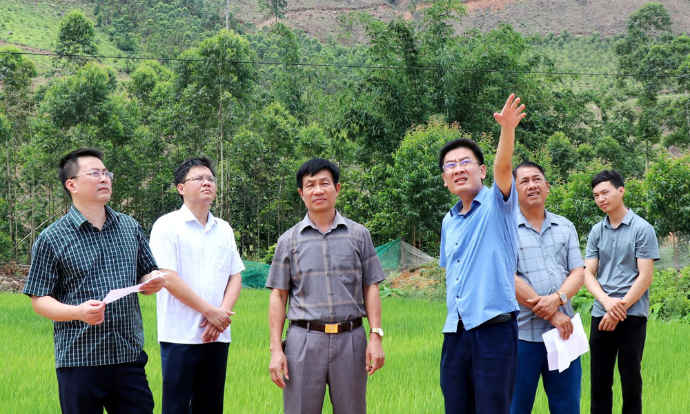 Sơn Động: Khẩn trương lên phương án di dời các hộ dân ra khỏi khu vực sạt lở