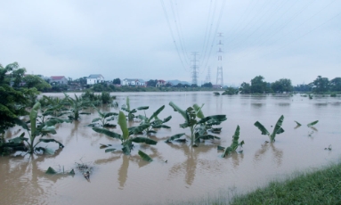 Nhịp sống
