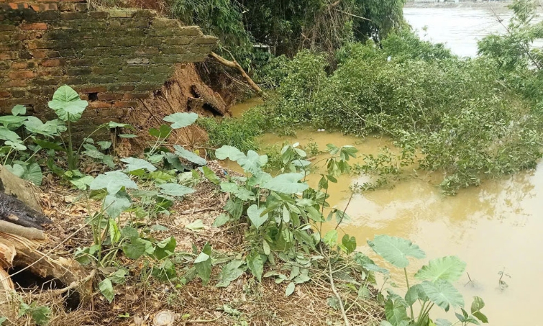  Hiệp Hòa: Tiếp tục xuất hiện sạt lở trên đê tả Cầu, di dời khẩn cấp một số hộ dân
