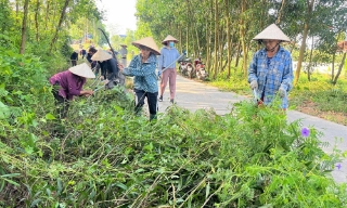 Xã An Lạc: Hơn 1 nghìn người tham gia tổng vệ sinh môi trường nông thôn