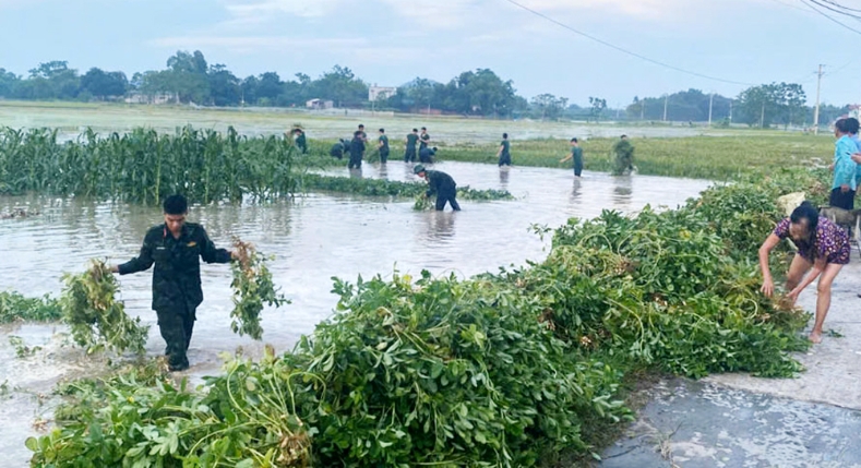  Chủ tịch UBND tỉnh Bắc Ninh chỉ đạo triển khai các biện pháp ứng phó với bão số 11
