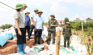 Phó Chủ tịch UBND tỉnh Lê Xuân Lợi: Tăng cường giám sát, khắc phục các sự cố về đê điều, vệ sinh môi trường sau nước rút