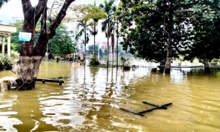 Bắc Ninh còn 49 thôn, tổ dân phố bị ngập cục bộ với gần 6,1 nghìn hộ dân 
