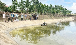 Bắc Ninh: Hỗ trợ nông dân khôi phục sản xuất sau mưa lũ