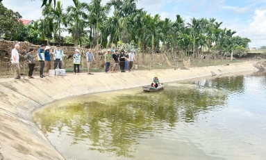  Bắc Ninh: Hỗ trợ nông dân khôi phục sản xuất sau mưa lũ
