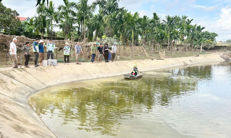  Bắc Ninh: Hỗ trợ nông dân khôi phục sản xuất sau mưa lũ