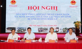 Chung tay hỗ trợ nông dân phục hồi sản xuất chăn nuôi, thủy sản sau bão, lũ