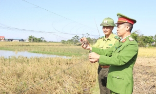 Bắc Ninh: Ngăn chặn tình trạng săn bắt chim hoang dã