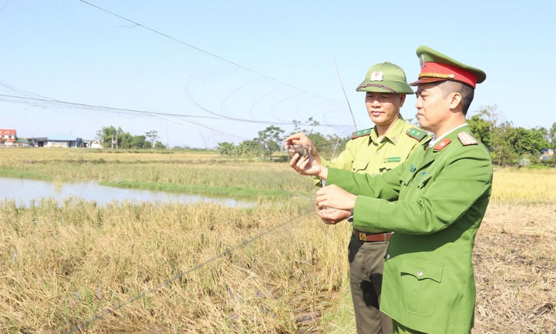  Bắc Ninh: Ngăn chặn tình trạng săn bắt chim hoang dã