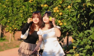 Mê mẩn vườn cam bạc tỷ ở Kiên Lao (Bắc Ninh)