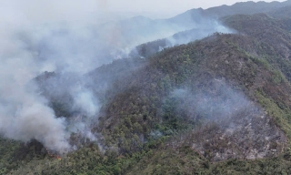 Bắc Ninh: Cảnh báo nguy cơ cháy rừng ở nhiều địa phương 