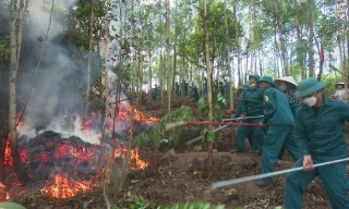  Bắc Ninh: Cảnh báo nguy cơ cháy rừng ở cấp IV (cấp nguy hiểm) trên toàn bộ các địa bàn có rừng