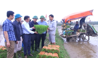 Xuân Cẩm: Sôi nổi Ngày hội xuống đồng