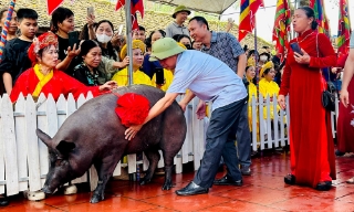 Bắc Ninh: Độc đáo lễ tế lợn đen