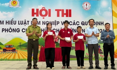 Bắc Ninh: Thi tìm hiểu Luật Lâm nghiệp trong học sinh trung học cơ sở