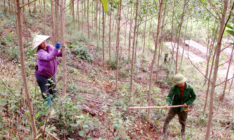  Bắc Ninh: Nâng mức cảnh báo cháy rừng lên cấp nguy hiểm
