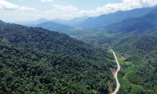 Bắc Ninh cảnh báo cháy rừng cấp cực kỳ nguy hiểm tại nhiều địa phương