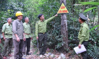 Nhiều khu vực miền núi Bắc Ninh trong vùng cảnh báo cháy rừng cấp cực kỳ nguy hiểm