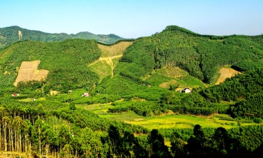  Bắc Ninh: Rà soát, xác định thôn vùng đồng bào dân tộc thiểu số và miền núi