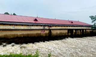 Bắc Ninh khẩn trương bơm tiêu úng bảo vệ lúa và hoa màu
