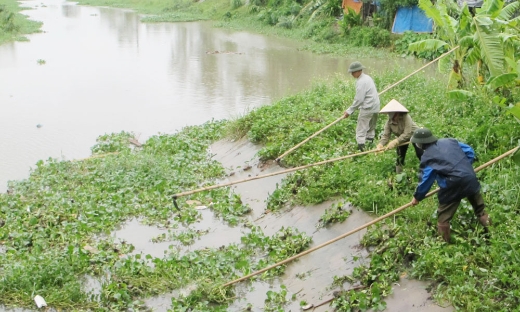 Bắc Ninh: Vận hành 217 tổ máy bơm tiêu úng cho hơn 950 ha lúa, hoa màu