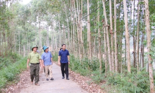 Bắc Ninh: Xây dựng Nhà máy viên gỗ nén và dăm gỗ tại xã Nam Dương