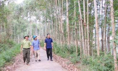 Bắc Ninh: Xây dựng Nhà máy viên gỗ nén và dăm gỗ tại xã Nam Dương