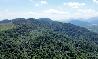 Bắc Ninh: 27 xã, phường có nguy cơ cháy rừng mức nguy hiểm 