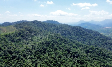  Bắc Ninh: 27 xã, phường có nguy cơ cháy rừng mức nguy hiểm 