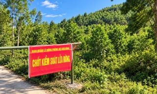 Bắc Ninh: Toàn bộ xã, phường có rừng cảnh báo nguy cơ cháy rừng cấp V