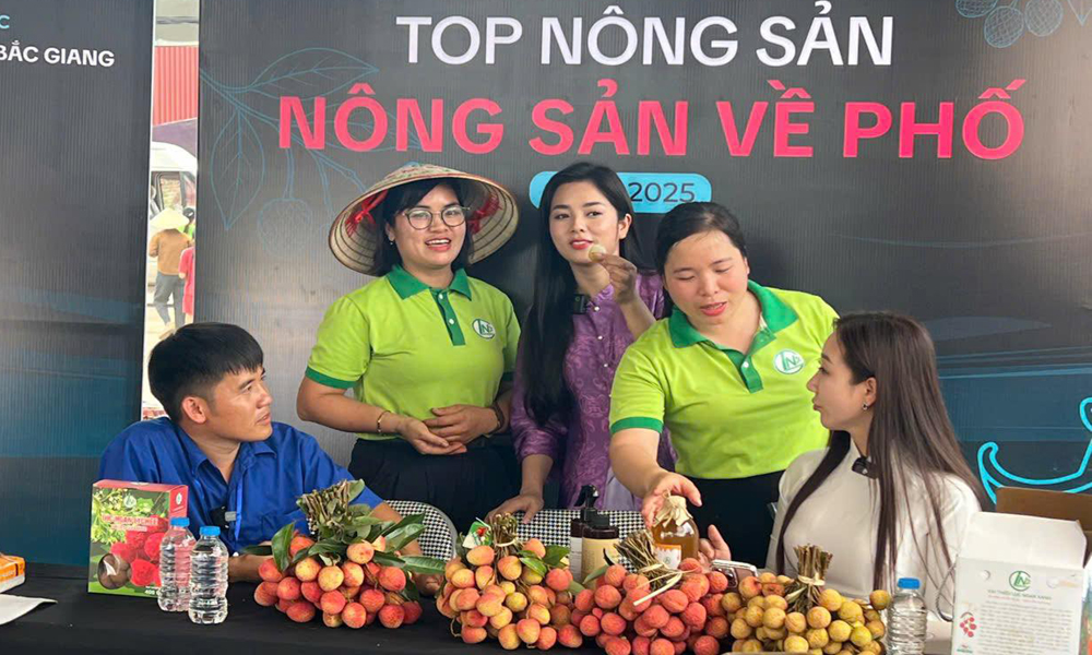 Vải thiều rộng đầu ra qua thương mại điện tử 