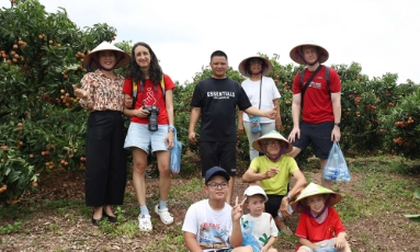  Vải thiều Lục Ngạn