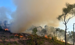  Nhiều địa phương nguy cơ cháy rừng ở cấp nguy hiểm