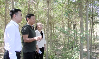 Hoàng Vân: Năng động làm giàu trên mảnh đất quê hương