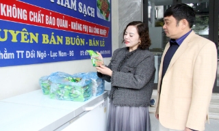 Phát triển hợp tác xã ở Lục Nam: Khai thác lợi thế, nâng thu nhập người dân